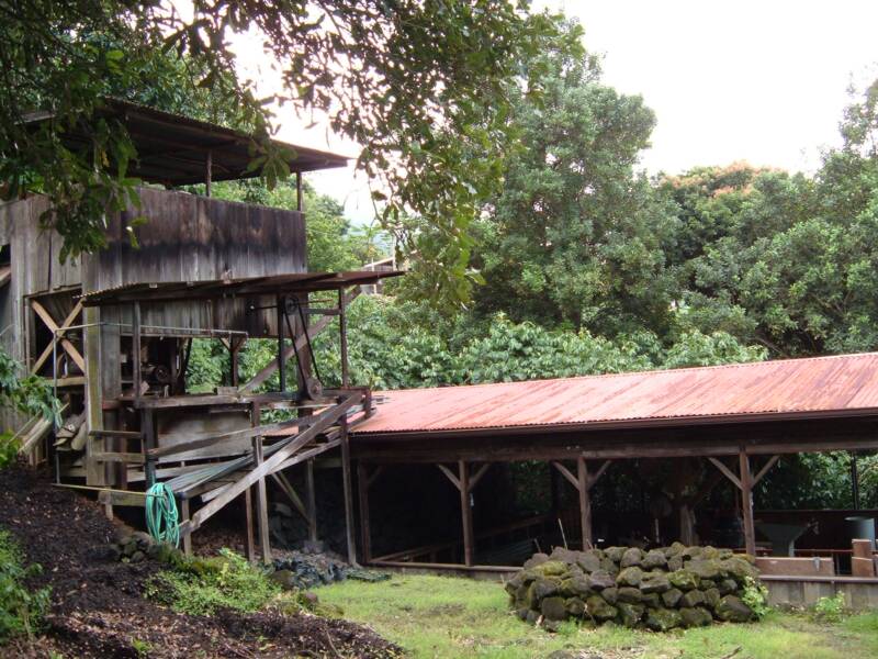 Kona coffee pulping mill and Sun dry deck